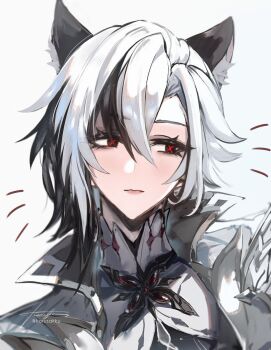 1girl animal_ears arlecchino_(genshin_impact) black_hair blush cat_girl coat genshin_impact grey_coat highres kemonomimi_mode korusakku multicolored_hair red_pupils simple_background solo streaked_hair symbol-shaped_pupils two-tone_hair white_coat white_hair x-shaped_pupils