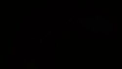 1boy 1girl all_fours animal_ears animal_nose animal_pussy animated anus ass bestiality blue_eyes blue_sclera blush breath canine_pussy cave closed_eyes colored_sclera cross-section cum cum_in_pussy deep_penetration ejaculation embarrassed from_behind from_below full_body gen_4_pokemon girl_on_top glaceon grabbing_another's_ass groping half-closed_eyes hetero indoors internal_cumshot long_ears looking_at_viewer looking_back naughty_face nine-volt_(talentlesshack) nintendo nose_blush open_mouth penis pokemon pokemon_(creature) pokephilia pussy pussy_juice sex slippery_otz solo_focus sound spread_legs tagme tail teeth testicles third-party_edit tongue tongue_out uncensored upper_teeth_only uterus vaginal video ziggyzackstash