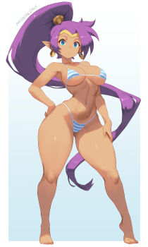 Rule 34 | 1girl, barefoot, bikini, blue bikini, blue eyes, breasts, full body, high ponytail, highres, long hair, medium breasts, multicolored bikini, ponytail, purple hair, shantae, shantae (series), simple background, solo, string bikini, striped bikini, striped clothes, swimsuit, tiptoes, two-tone bikini, white background, white bikini, zelc-face