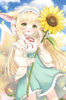 1girl :d absurdres animal_ears arknights blonde_hair blush cardigan chinese_commentary colored_tips commentary_request fang flower fox_ears fox_girl fox_tail frilled_hairband frills green_eyes green_hairband green_skirt hairband highres holding holding_flower kitsune kyuubi long_hair long_sleeves looking_at_viewer multicolored_hair multiple_tails neck_ribbon nicknameokupied official_alternate_costume open_cardigan open_clothes open_mouth outdoors puffy_long_sleeves puffy_sleeves red_ribbon ribbon shirt skin_fang skirt smile solo sunflower suzuran_(arknights) suzuran_(spring_praise)_(arknights) tail white_hair white_shirt yellow_cardigan