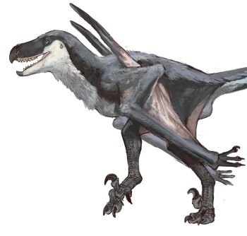 absurdres beak claws dinosaur dinosaur_tail feathered_dinosaur highres jurassic_world jurassic_world:_rebirth monster mossacannibalis mutadon mutation no_humans prehistoric_animal pterosaur raptor tail talons white_background wings