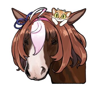 ahoge animal animal_ears animal_focus animal_on_head animalization borrowed_hairstyle bow brown_hair cat cat_on_head commentary double-parted_bangs ear_ribbon english_commentary hair_between_eyes hairband horse lili_(lilistration) looking_at_viewer meisho_doto_(racehorse) meisho_doto_(umamusume) meto_(cat) multicolored_hair on_head pink_hairband real_life recursive_animalization short_hair simple_background two-tone_hair umamusume white_background