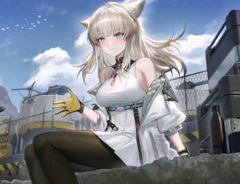 Rule 34 | 1girl, absurdres, animal ears, arknights, arknights: endfield, bare shoulders, bird ears, bird girl, black pantyhose, blue eyes, blue sky, cloud, commentary, dress, gloves, grey hair, highres, long hair, molyb, multicolored gloves, off shoulder, outdoors, pantyhose, perlica (arknights), sitting, sky, sleeveless, sleeveless dress, solo, two-tone gloves, white dress