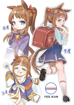 1girl absurdres age_progression aged_down ak8531848 animal_ears armband blue_dress blue_eyes blue_jacket blue_skirt bow brown_hair closed_mouth commentary dandelion dress ear_bow ear_ribbon english_commentary flower grass_wonder_(stone-piercing_blue)_(umamusume) grass_wonder_(umamusume) highres holding horse_ears horse_girl horse_tail jacket long_hair long_sleeves multicolored_hair open_mouth ponytail red_armband red_bag ribbon sailor_collar school_uniform shirt shoes skirt smile socks tail teeth umamusume white_dress white_hair white_sailor_collar white_shirt white_socks