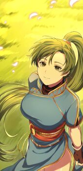 1girl blue_dress breasts brown_gloves closed_mouth dress fingerless_gloves fire_emblem fire_emblem:_the_blazing_blade gloves golden_hour grass green_eyes green_hair high_ponytail highres large_breasts long_hair looking_at_viewer looking_up lyn_(fire_emblem) mimummom nintendo outdoors pelvic_curtain ponytail rope_belt side_slit smile solo thighs undershirt very_long_hair