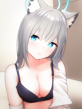 Rule 34 | 1girl, absurdres, animal ears, artist name, bare shoulders, black bra, blue archive, blue eyes, blue halo, bra, breasts, closed mouth, commentary, grey hair, halo, highres, indoors, looking at viewer, medium breasts, medium hair, mismatched pupils, shiroko (blue archive), shirt, solo, tanatonkub, underwear, white shirt, wolf ears, wolf girl
