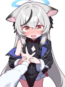 1boy 1girl above-cleavage_cutout absurdres animal_ears black_dress black_jacket black_streaks blue_archive blue_halo blush breasts clothing_cutout commentary covered_navel diamond_cutout dot_nose dress frilled_skirt frills furrowed_brow grabbing_another&#039;s_breast grey_hair groping guided_breast_grab guiding_hand halo hand_on_another&#039;s_chest hands_up highres holding_another&#039;s_hand jacket kokona_(blue_archive) layered_skirt lk149 loli long_hair long_sleeves looking_at_viewer lower_teeth_only multicolored_hair off_shoulder open_mouth orange_eyes pov pov_hands shirt sidelocks simple_background single_bare_shoulder skirt small_breasts standing streaked_hair striped_clothes striped_dress striped_jacket teeth thighs vertical-striped_clothes vertical-striped_dress vertical-striped_jacket very_long_hair white_background white_shirt white_skirt