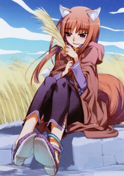 1girl animal_ear_fluff animal_ears anklet black_pants blush brown_cloak brown_hair brown_tail cloak cobblestone fang fang_out highres holding holding_wheat holo hood hood_down hooded_cloak jewelry koume_keito legs_together long_hair long_sleeves official_art open_mouth outdoors pants purple_shirt red_eyes scan shirt sitting smile spice_and_wolf tail wheat wheat_field wolf_ears wolf_girl wolf_tail