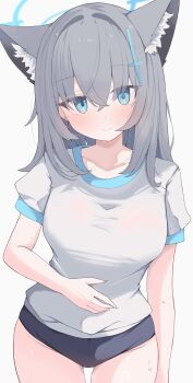 1girl absurdres alternate_breast_size_(larger) animal_ear_fluff animal_ears blue_archive blue_buruma blue_halo blush breasts buruma closed_mouth collarbone commentary cowboy_shot cross cross_hair_ornament earrings extra_ears gluteal_fold grey_hair groin gym_shirt gym_uniform hair_between_eyes hair_ornament halo hand_on_own_stomach highres inverted_cross jewelry large_breasts latin_cross long_hair looking_at_viewer nui_(nuinui0300) puffy_short_sleeves puffy_sleeves shiroko_(blue_archive) shirt short_sleeves simple_background smile solo stud_earrings sweat thighs variant_set white_background white_shirt wolf_ears wolf_girl