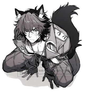 1boy :< animal_ear_fluff animal_ear_piercing animal_ears between_legs colored_bangs commentary_request crazy_kinoko dog_boy dog_ears dog_tail from_above full_body greyscale hand_between_legs hands_on_ground highres jewelry komano_manato large_pectorals looking_at_viewer male_focus monochrome multicolored_hair muscular muscular_male necklace pectoral_cleavage pectorals scar scar_across_eye scar_on_face solo squatting sweat tail two-tone_hair white_background zenless_zone_zero