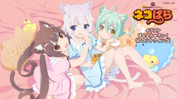 3girls :3 animal_ear_fluff animal_ears bed_sheet blue_bow blue_eyes blue_pajamas blue_scrunchie book bow brown_eyes brown_hair cacao_(nekopara) cat_ears cat_girl cat_tail child chocola_(nekopara) end_card fish grabbing green_hair hair_bow hair_ornament hair_scrunchie head_rest lying multiple_girls nekopara orange_pajamas pajamas pink_bow pink_pajamas pink_scrunchie rubber_duck scrunchie siblings sisters slit_pupils stuffed_animal stuffed_toy tail twins vanilla_(nekopara) watanabe_akio white_hair yellow_eyes