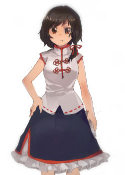 Rule 34 | 1girl, black skirt, brown eyes, brown hair, chinese clothes, collared shirt, commentary request, feet out of frame, frilled skirt, frills, hand on own hip, highres, no headwear, pout, shirt, short sleeves, shukinuko, skirt, touhou, usami renko, white background, white shirt