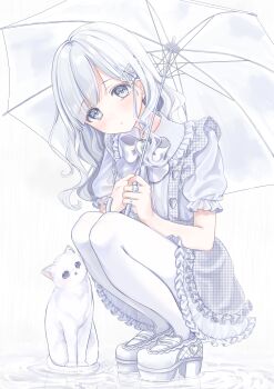 1girl absurdres bow bowtie buntason_(buritarooooo) cat closed_mouth collared_shirt expressionless frilled_skirt frilled_sleeves frills full_body hair_ornament heart heart_hair_ornament highres holding holding_umbrella light_blush long_hair looking_at_viewer miniskirt original patterned platform_footwear pleading_eyes puffy_short_sleeves puffy_sleeves shirt short_sleeves side_part skirt solo squatting tearing_up umbrella unmoving_pattern wavy_hair white_bow white_eyes white_footwear white_hair white_shirt white_skirt white_theme