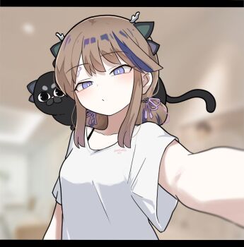 1girl airi_kanna animal animal_on_shoulder antlers black_cat blue_eyes blurry blurry_background blush breasts bright_pupils brown_hair cat closed_mouth commentary_request dot_mouth dragon_girl dragon_horns forehead_tattoo foreshortening horns korean_commentary long_sidelocks looking_at_viewer medium_breasts medium_hair multicolored_hair narrowed_eyes pet seongda shirt sidelocks small_horns stellive streaked_hair tattoo virtual_youtuber white_shirt