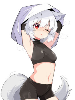 1girl :o ;o animal_ear_fluff animal_ears armpits bike_shorts breasts commentary_request harakune_(mugennero) highres inubashiri_momiji looking_at_viewer medium_breasts midriff navel one_eye_closed red_eyes simple_background solo tail touhou undressing white_background wolf_ears wolf_girl wolf_tail