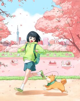 1girl :d absurdres backpack bag bandana black_hair blunt_bangs bob_cut cherry_blossoms cityscape commentary_request dini_illust dog flower from_side full_body grass green_hoodie green_shoes green_shorts highres hood hoodie korean_commentary looking_at_animal open_mouth original picnic_blanket pink_flower riverbank running shadow shiba_inu shirt shoes short_hair shorts slice_of_life smile solo swan_boat tongue tongue_out tower tree white_shirt