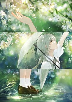 1girl bow brown_shoes dappled_sunlight flower grass green_eyes grey_hair hair_bow hand_up highres long_hair looking_up morimori_(14292311) original petals rain school_uniform shirt shoes socks solo sunlight umbrella white_petals white_shirt white_socks