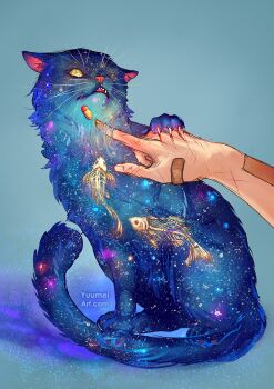 Rule 34 | animal, animal focus, aqua background, artist name, bandaid, bandaid on hand, blue background, cat, claws, commentary, cuts, english commentary, fantasy, fish, fish skeleton, half-closed eye, highres, injury, open mouth, original, pill, pov, pov hands, scar, space, star (sky), whiskers, yellow eyes, yuumei