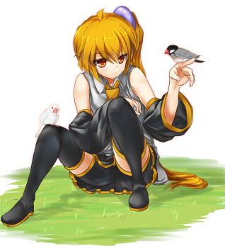 1girl akita_neru bird blonde_hair boots detached_sleeves java_sparrow long_hair magu_(mugsfc) sitting thigh_boots thighhighs very_long_hair vocaloid white_java_sparrow yellow_eyes