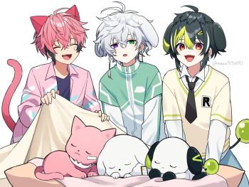 Rule 34 | 3boys, ahoge, akagi wen, alternate costume, animal ears, animalization, black hair, black necktie, black shirt, blanket, cat boy, cat ears, cat tail, collared shirt, colored tips, commentary, dog boy, dog ears, dog tail, green eyes, green hair, green jacket, heterochromia, holding, holding blanket, inami rai, jacket, looking at viewer, male focus, messy hair, multicolored hair, multiple boys, murakumo kagetsu, nana72710193, necktie, nijisanji, open clothes, open mouth, open shirt, parted lips, pink shirt, purple eyes, red eyes, shirt, short hair, simple background, smile, streaked hair, tail, twitter username, undershirt, upper body, vest, virtual youtuber, white background, white hair, white shirt, yellow vest