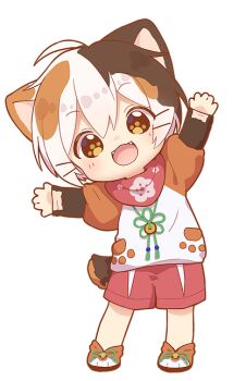 Rule 34 | 1boy, animal ears, blush, brown eyes, brown hair, cat boy, cat ears, full body, hair between eyes, indie virtual youtuber, male focus, multicolored hair, nipeira, orange hair, original, scarf, solo, tail, tatamaru (vtuber), virtual youtuber, white hair
