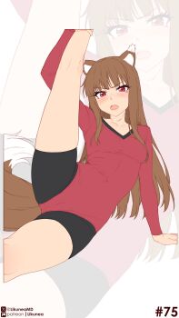 1girl absurdres animal_ear_fluff animal_ears arm_support artist_name black_shorts blush breasts brown_hair brown_tail cameltoe collarbone eyelashes highres holo leg_up legs leotard likunea looking_at_viewer on_ground open_mouth paid_reward_available patreon_logo patreon_username red_eyes red_leotard shorts sidelocks skin_tight skindentation small_breasts solo spice_and_wolf tail thighs twitter_username twitter_x_logo unfinished v-shaped_eyebrows wolf_ears wolf_girl wolf_tail zoom_layer