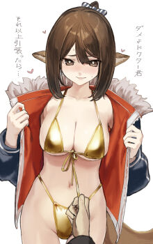 1boy 1girl animal_ears arknights bikini breasts brown_eyes brown_hair commentary fox_ears fox_girl fox_tail gold_bikini highres jacket large_breasts looking_at_viewer navel perfumer_(arknights) poco_(backboa) pov pov_hands short_hair simple_background stomach swimsuit tail thighs translation_request two-sided_fabric two-sided_jacket untranslatable_commentary white_background