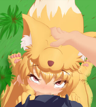 Rule 34 | 1boy, 1girl, aki 32, animal feet, animal hands, blonde hair, blush, censored, commentary request, fellatio, fox girl, fox hat, fox tail, full body, grass, hand on another's head, hetero, highres, irrumatio, looking at viewer, moonlight flower, mosaic censoring, nose blush, oral, penis, pov, pov crotch, ragnarok online, red eyes, short hair, solo focus, tail, tearing up, upturned eyes, variant set