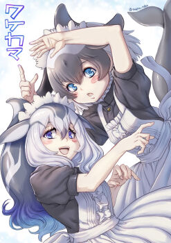 Rule 34 | 2girls, apron, arms up, black hair, blue eyes, blush, cetacean tail, commentary request, commerson's dolphin (kemono friends), dolphin girl, fins, fish tail, grey hair, head fins, highres, kemono friends, kemono friends 3, kosai takayuki, long hair, looking at viewer, maid, maid apron, maid headdress, multiple girls, pacific white-sided dolphin (kemono friends), short hair, simple background, tail