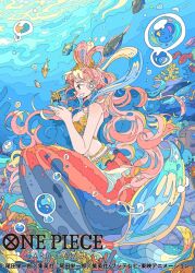 Rule 34 | 1girl, belly chain, bikini, bubble, commentary request, copyright name, coral reef, earrings, fish, fish hair ornament, giant, giantess, hagoromo, hair ornament, half updo, jewelry, long hair, mermaid, monster girl, nara lalana, official art, one piece, pink hair, profile, shawl, shell, shell earrings, shirahoshi, smile, swimsuit, underwater, very long hair, yellow bikini