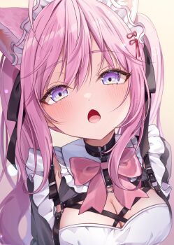 1girl absurdres animal_ears black_choker black_dress black_ribbon blue_eyes blush bow bowtie breasts chest_harness choker cleavage close-up dress gradient_eyes hair_between_eyes hair_ribbon hakui_koyori harness highres hololive large_breasts long_hair looking_at_viewer maid_headdress multicolored_eyes o-ring o-ring_harness open_mouth pink_bow pink_bowtie pink_hair purple_eyes ribbon shagaihi solo twintails virtual_youtuber wolf_ears wolf_girl