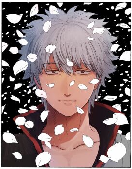 1boy black_background black_shirt border closed_mouth collarbone commentary_request falling_petals gintama grey_hair hair_between_eyes highres khaaa_kom looking_at_viewer male_focus petals popped_collar portrait red_eyes sakata_gintoki shirt short_hair smile solo white_border