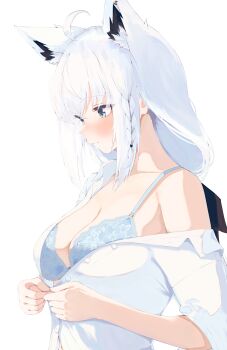 Rule 34 | 1girl, absurdres, ahoge, animal ears, blue bra, blush, bra, braid, breasts, buttons, cleavage, closed mouth, collared shirt, commentary request, crossed bangs, fox ears, fox girl, green eyes, hair between eyes, highres, hololive, looking ahead, medium breasts, natsuki (natsu 1936), navel, off shoulder, shirakami fubuki, shirt, short sleeves, sidelocks, simple background, single bare shoulder, single off shoulder, solo, unbuttoned, unbuttoned shirt, unbuttoning, underwear, upper body, virtual youtuber, white background, white hair, white shirt