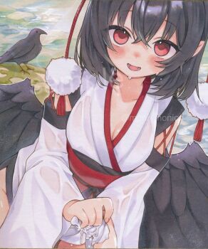 Rule 34 | 1girl, bird, bird wings, black bird, black hair, black wings, blush, breasts, cleavage, commentary request, crow, detached sleeves, feathered wings, highres, japanese clothes, kimono, kourindou tengu costume, large breasts, looking at viewer, medium hair, moni monico, obi, official alternate costume, open mouth, pom pom (clothes), red eyes, red sash, sash, shameimaru aya, smile, solo, touhou, traditional media, twitter username, wet, wet clothes, white kimono, wings, wringing clothes