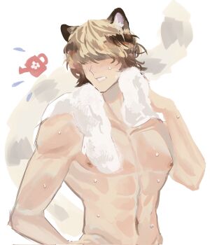 Rule 34 | 1boy, abs, after bathing, animal ear fluff, animal ears, blanc (heartopia), blonde hair, blush, brown hair, cropped torso, hair over eyes, hand on own hip, heartopia, highres, holding, holding towel, madrayy51, male focus, multicolored hair, muscular, naked towel, nipples, nude, parted lips, solo, striped tail, tail, tiger boy, tiger ears, tiger tail, towel, towel around neck, two-tone hair, wet, white background