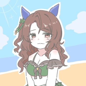 1girl animal_ears bikini breasts brown_hair cleavage commentary_request ear_covers green_bikini highres horse_ears horse_girl itota_(taikoubou) king_halo_(umamusume) looking_to_the_side red_eyes solo swimsuit umamusume upper_body