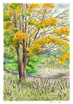 absurdres artist_name autumn autumn_leaves border commentary_request dated day highres keisuke_k_(enyahoro) leaf original outdoors painting_(medium) people pool reeds scenery signature traditional_media tree watercolor_(medium) white_border