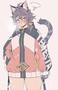Rule 34 | 1girl, ahoge, animal ear fluff, animal ears, breath, cat ears, cat tail, clenched hand, clothes writing, commentary request, gloves, grey hair, hand in pocket, highres, jacket, medium hair, open mouth, original, runny nose, short eyebrows, simple background, snot, solo, standing, tail, thighs, white background, winter, yagatake arashi (nekoarashi), yana (nekoarashi), zipper