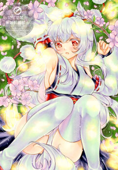 Rule 34 | 1girl, animal ears, breasts, cherry blossoms, commentary request, detached sleeves, flower, grey hair, hat, highres, inubashiri momiji, japanese clothes, kimono, kourindou tengu costume, large breasts, long hair, looking at viewer, nekofish666, obi, open mouth, pink flower, pom pom (clothes), red eyes, red hat, red sash, sash, sideboob, solo, tail, thighhighs, tokin hat, touhou, traditional media, watermark, white kimono, white thighhighs, wolf ears, wolf girl, wolf tail