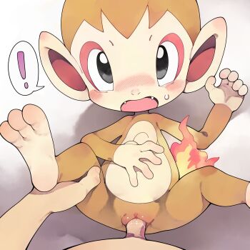 ! 1boy 1girl absurdres blush chibikemo chimchar fangs furry furry_female furry_with_non-furry gen_4_pokemon hetero highres interspecies lying monkey nintendo nose_blush on_back open_mouth penis pokemon pokemon_(creature) pov pussy sex spoken_exclamation_mark spread_legs uncensored vaginal youjo_modoki