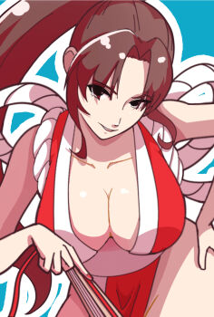 1girl breasts fatal_fury highres large_breasts long_hair shiranui_mai tagme