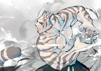 1boy animal_ears bara black_pants blue_eyes commentary english_commentary fighting_stance furry furry_male large_hands large_pectorals looking_at_viewer male_focus muscular muscular_male nipples original pants pectorals scar solo tail tiger_boy tiger_ears tiger_stripes tiger_tail topless_male white_fur wincalblanke