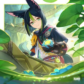 1boy absurdres animal_ear_fluff animal_ears black_gloves black_hair black_shirt brown_eyes chinese_commentary commentary_request fox_ears genshin_impact gloves green_eyes hair_between_eyes highres holding looking_at_viewer male_focus multicolored_eyes official_art plant sash shirt short_hair smile solo tighnari_(genshin_impact) two-tone_eyes upper_body