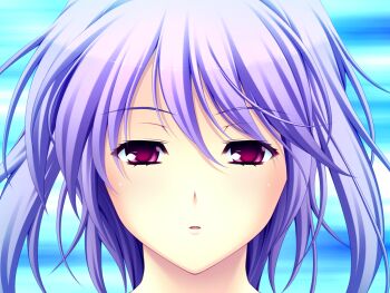 1girl blue_background blue_hair blush close-up game_cg hair_between_eyes half-closed_eyes holy_rouge large_variant_set looking_at_viewer nerawareta_megami_tenshi_angel_tear non-web_source official_art open_mouth parted_lips pink_eyes portrait purple_eyes purple_hair red_eyes shizumi_suzune short_hair solo tsukumo_kazuita variant_set