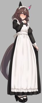 1girl absurdres animal_ears apron bakkasu150 black_dress blush braid braided_sidelocks breasts brown_hair closed_mouth commentary_request curren_bouquetd'or_(umamusume) dress ear_covers full_body grey_background grey_eyes hair_between_eyes hairband highres horse_ears horse_girl horse_tail long_braid long_hair looking_at_viewer low_twin_braids maid maid_apron maid_headdress mismatched_ear_covers pantyhose shoes simple_background skirt_hold smile solo tail twin_braids umamusume white_apron white_headdress white_pantyhose white_streaks
