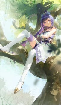 1girl absurdres bead_bracelet beads black_collar black_shorts blunt_bangs blurry boots bow bracelet closed_mouth collar creature dangling depth_of_field dress elbow_gloves fingerless_gloves foot_dangle full_body gloves gold_boots gold_trim hair_bow high_ponytail highres jewelry leaf_in_mouth long_hair looking_at_viewer lyooo_6 multicolored_boots original painterly ponytail purple_dress purple_hair shorts shorts_under_dress single_glove sitting_on_branch sleeveless sleeveless_dress smile solo swept_bangs tassel_collar thigh_boots tree two-tone_boots two-tone_dress very_long_hair white_boots white_dress wristband