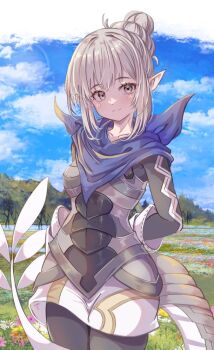 1girl arms_behind_back blue_scarf blue_sky breasts closed_mouth cloud day dragon_tail female_kana_(fire_emblem) fire_emblem fire_emblem_fates fuussu_(21-kazin) hair_bun nintendo outdoors pointy_ears scarf sky small_breasts smile solo standing tail thighs