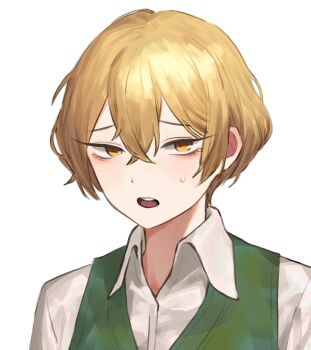 1boy blonde_hair collared_shirt commentary_request crossed_bangs dhlrhkrwnals green_vest hair_between_eyes highres korean_commentary limbus_company male_focus open_collar open_mouth portrait project_moon shirt short_hair sinclair_(project_moon) solo teeth tsurime undershirt upper_teeth_only variant_set vest white_shirt white_sleeves