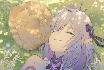 Rule 34 | 1girl, animal, black tiara, bug, butterfly, castorice (honkai: star rail), cat, closed eyes, collar, cuddling, flower, hair ribbon, highres, honkai: star rail, honkai (series), insect, light smile, long hair, on grass, orange fur, pointy ears, purple hair, ribbon, sleeping, tiara, yumegiwa (skgl thx)