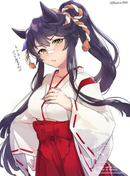 Rule 34 | 1girl, animal ears, bandaid, bandaid on face, bandaid on nose, black hair, blush, breasts, closed mouth, commentary request, hair between eyes, hakama, hakama skirt, highres, horse ears, horse girl, horse tail, japanese clothes, kachin, kimono, large breasts, long hair, long sleeves, looking at viewer, miko, narita brian (umamusume), ponytail, red hakama, skirt, tail, umamusume, white kimono, wide sleeves, yellow eyes